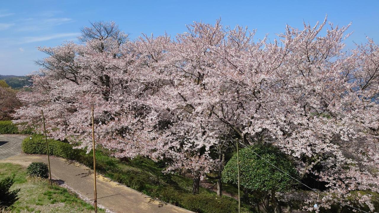 ゲストハウス あずも Guesthouse Azmo 마쓰에 외부 사진